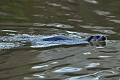 04 01 17_5238_edited-1
